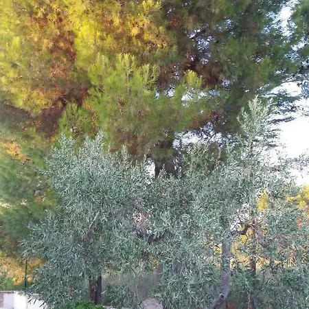 I Trulli Del Piemontese Ferienhaus *