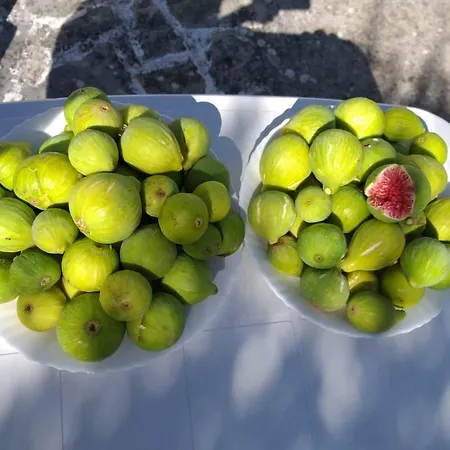 I Trulli Del Piemontese * Ostuni
